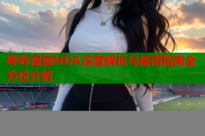 哔咔漫画NDA深度解析与使用指南全方位介绍