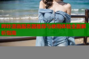 哔咔漫画服务器推荐与使用体验全面解析指南