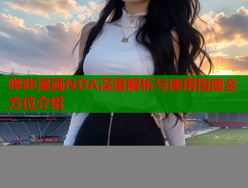 哔咔漫画NDA深度解析与使用指南全方位介绍  第1张