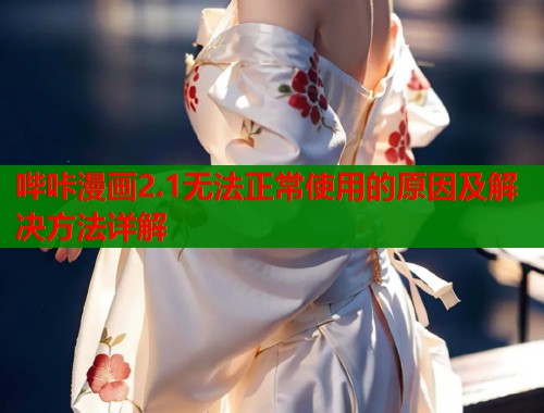 哔咔漫画2.1无法正常使用的原因及解决方法详解  第2张