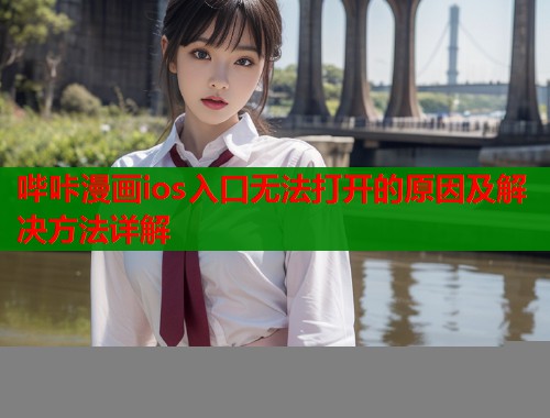哔咔漫画ios入口无法打开的原因及解决方法详解  第1张