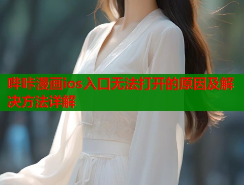 哔咔漫画ios入口无法打开的原因及解决方法详解  第2张